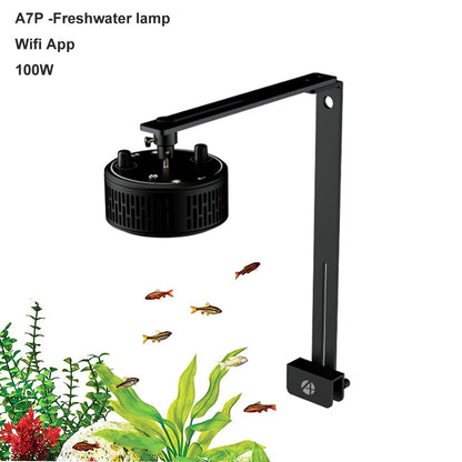 Aipai A7P 100W Freshwater